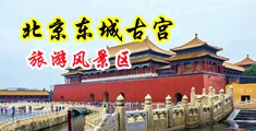 男人下面插进女人下面大鸡吧快操我的骚逼好爽啊好舒服的视频中国北京-东城古宫旅游风景区